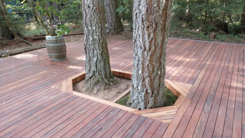 Tigerwood deck around trees