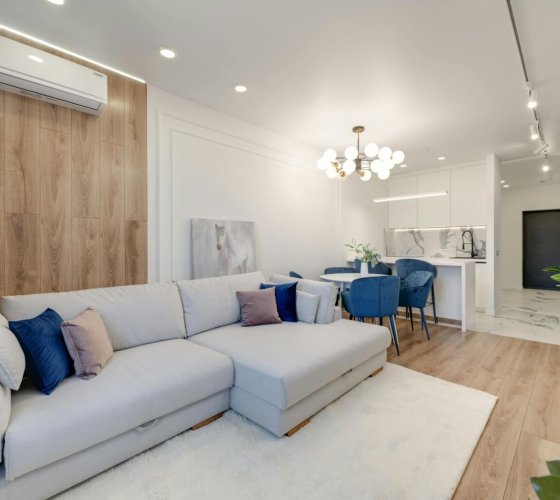 mini split unit living room